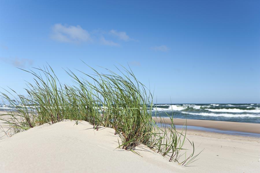 Palangos Sveciu Namai Hotell Palanga Exteriör bild